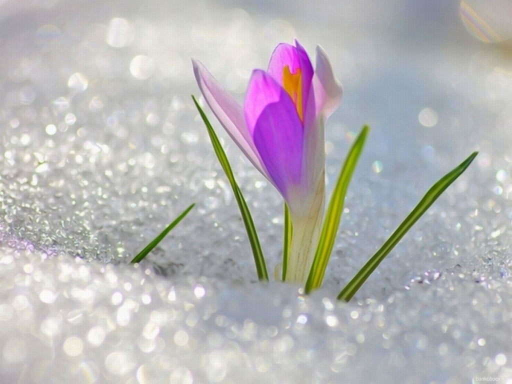 2025/2026 SLIDINĖJIMO SEZONAS PASIBAIGĖ.