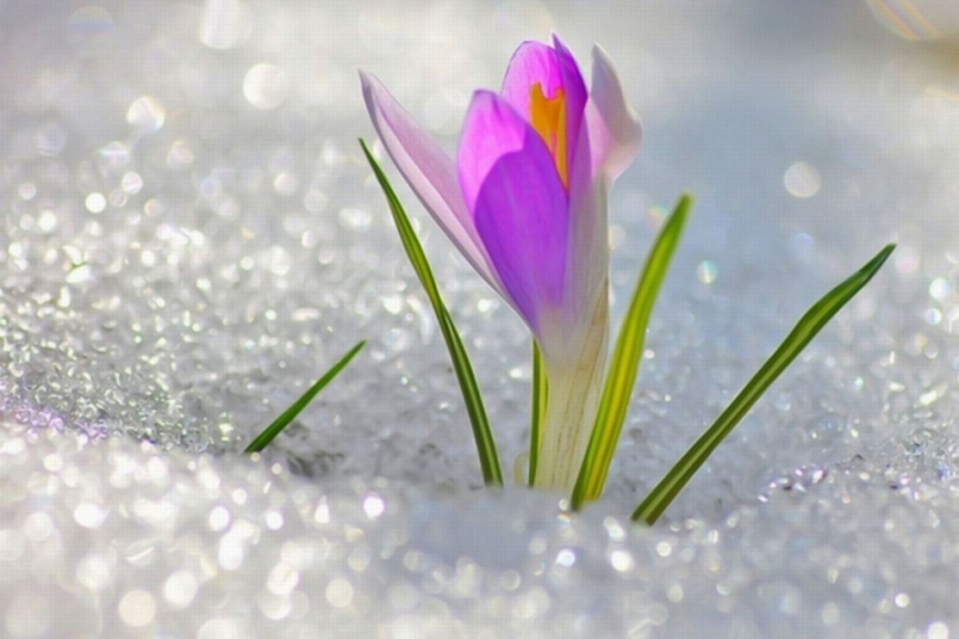 СЕЗОН 2025/2026 ЗАКОНЧЕН.