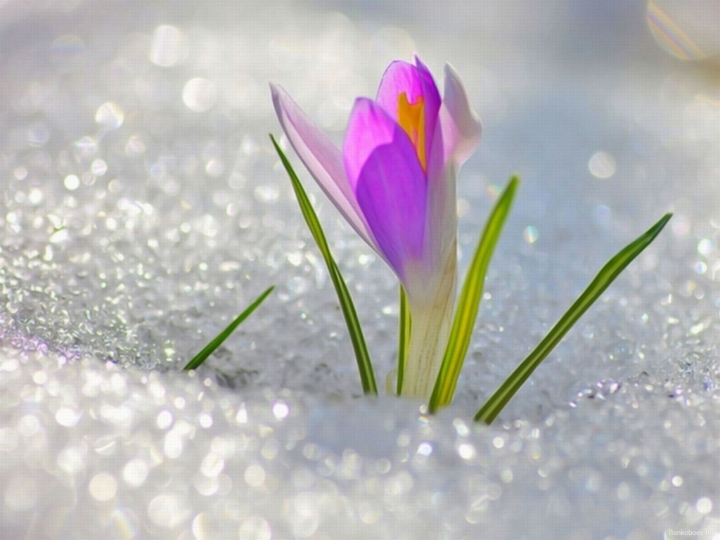 SLĒPOŠANAS SEZONA 2025/2026 IR BEIGUSIES.